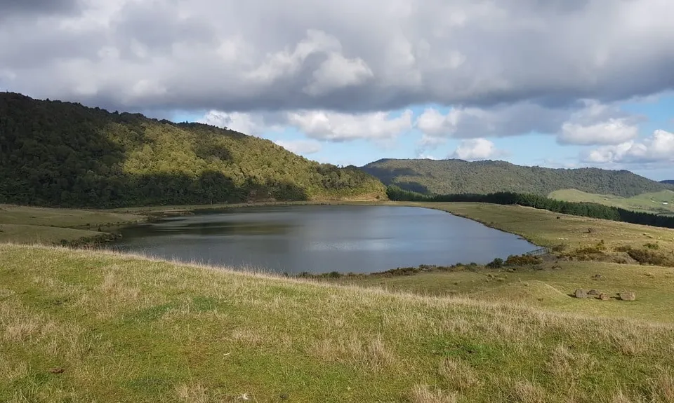 Maratoto To Golden Cross, Waikato