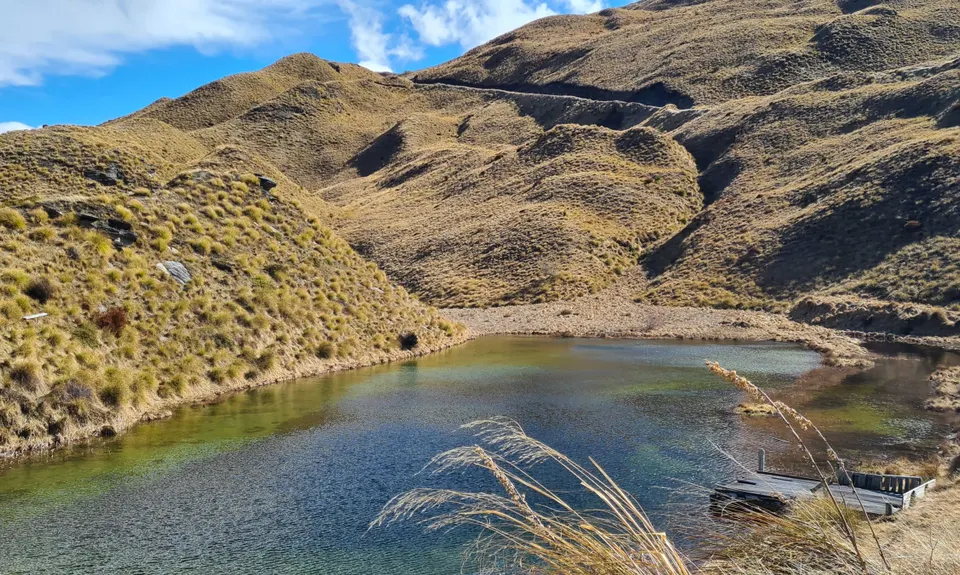 Mt Dewar Devil Creek Loop, Otago