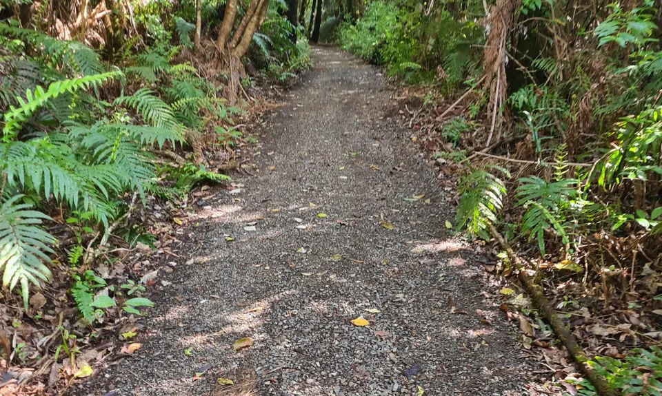 Maungatautari Sanctuary Mountain, Waikato