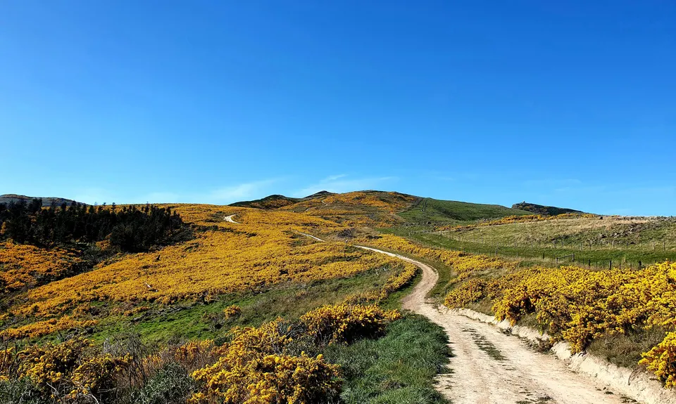 Christchurch 360 Trail - Sugarloaf Hills Section, Canterbury
