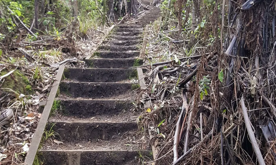 Kakepuku Climb, Waikato