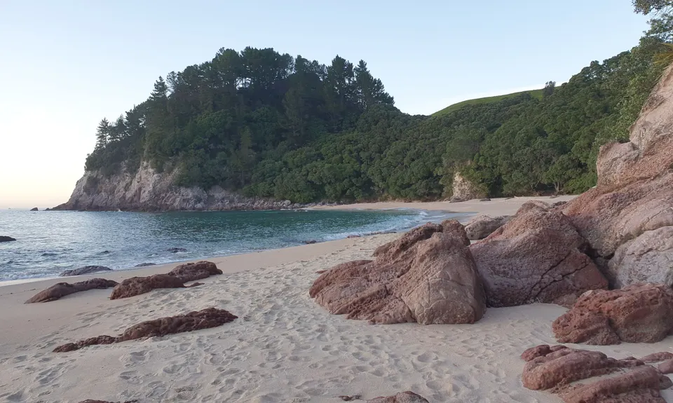 Paradise in Onemana, Waikato