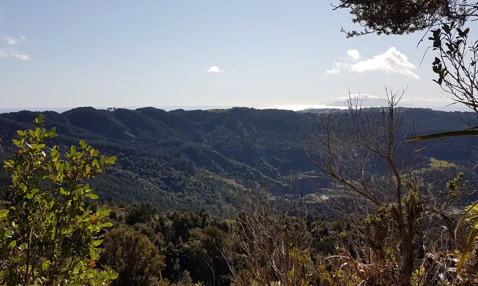 Mt Tamahunga, Auckland