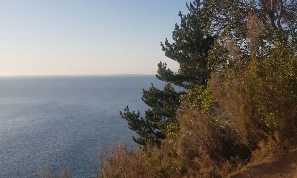 The Great OH Trail, Bay of Plenty