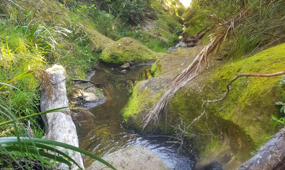 The Great OH Trail, Bay of Plenty