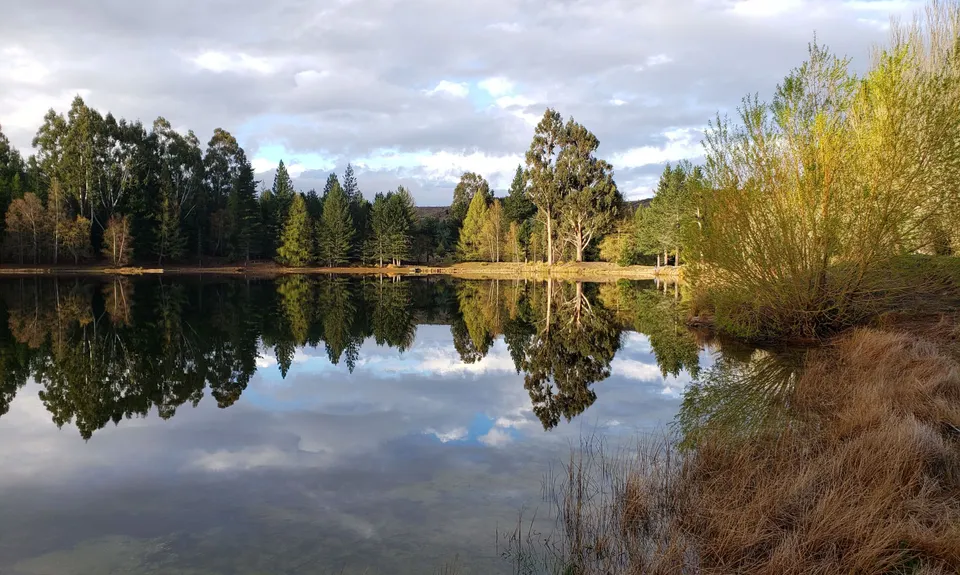 Water Racing, Otago