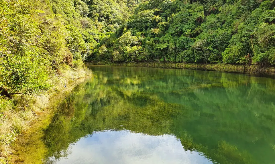 Birchville Dam Loop, Wellington