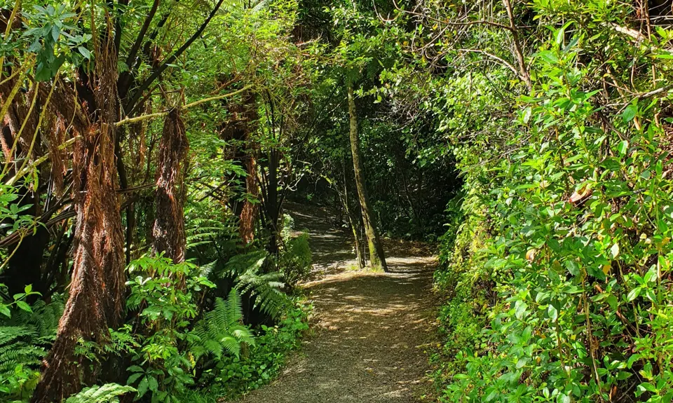 Birchville Dam Loop, Wellington