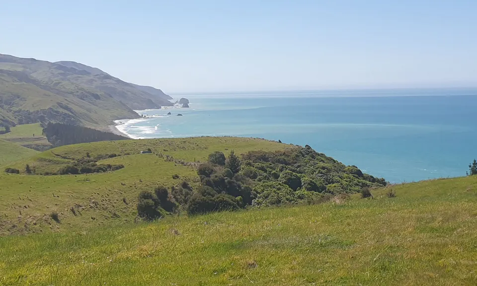 Tweedies Gully New Track, Canterbury