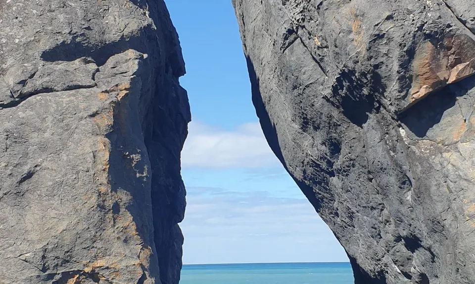 Baring It All, Wellington