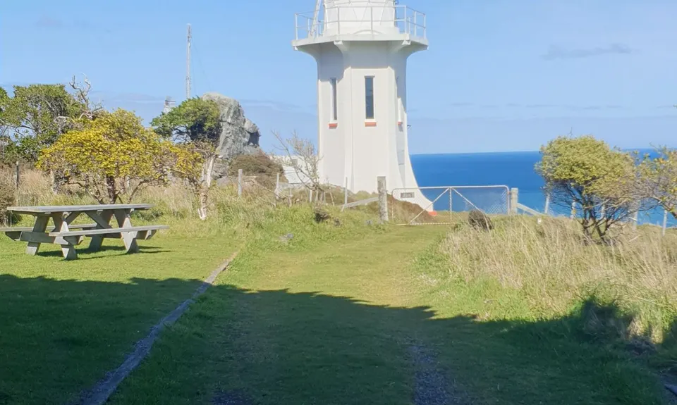 Baring It All, Wellington
