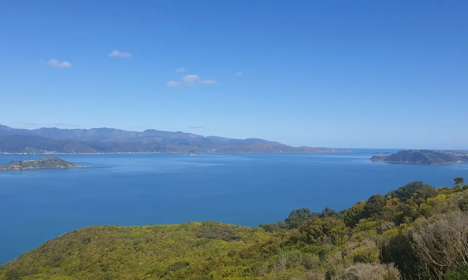 Te Ara Papararangi Views, Wellington