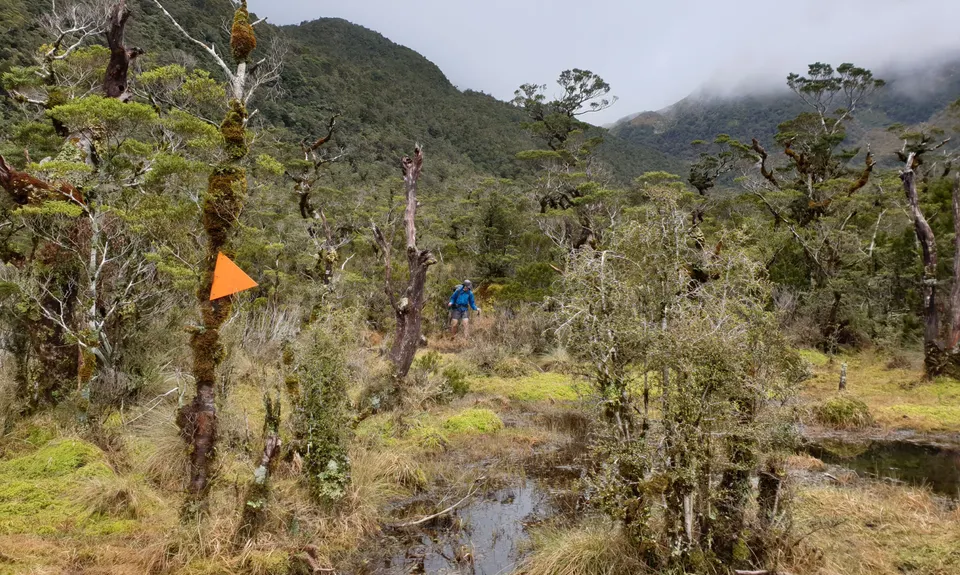 Deepest Darkest George, Southland
