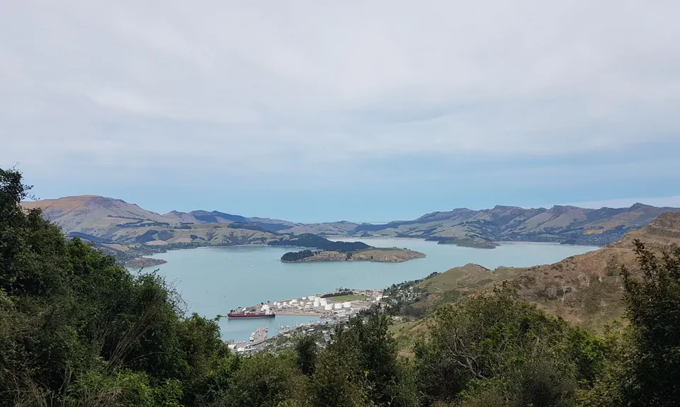 Tauhinu-Korokio TKO, Canterbury