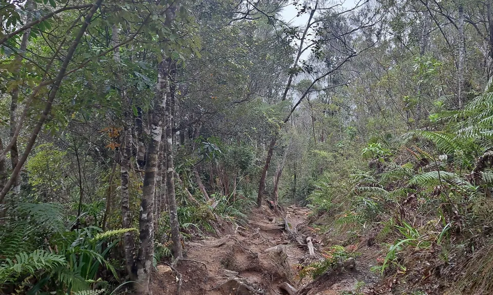 Pinnacles & Billy Goat, Waikato