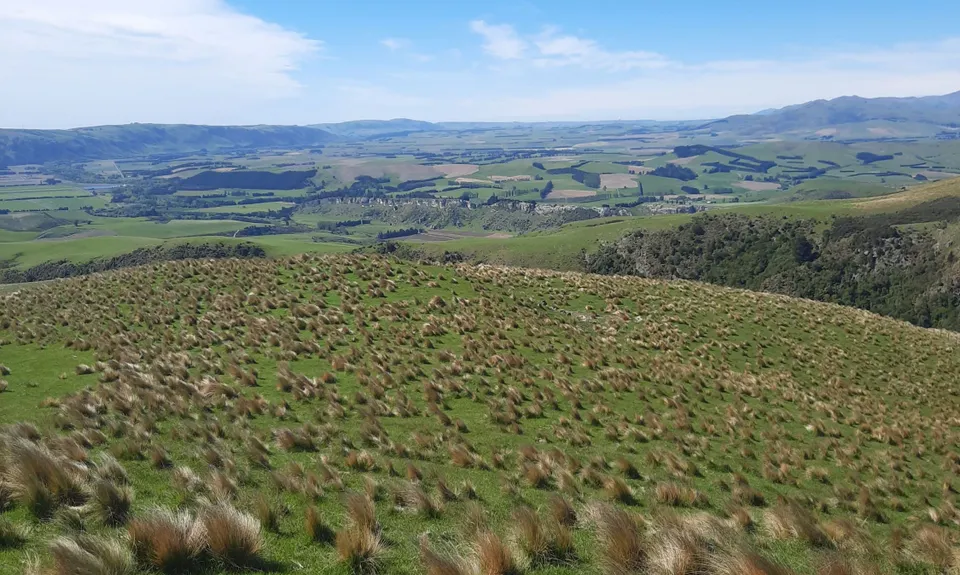 Chetwynd Track, Canterbury