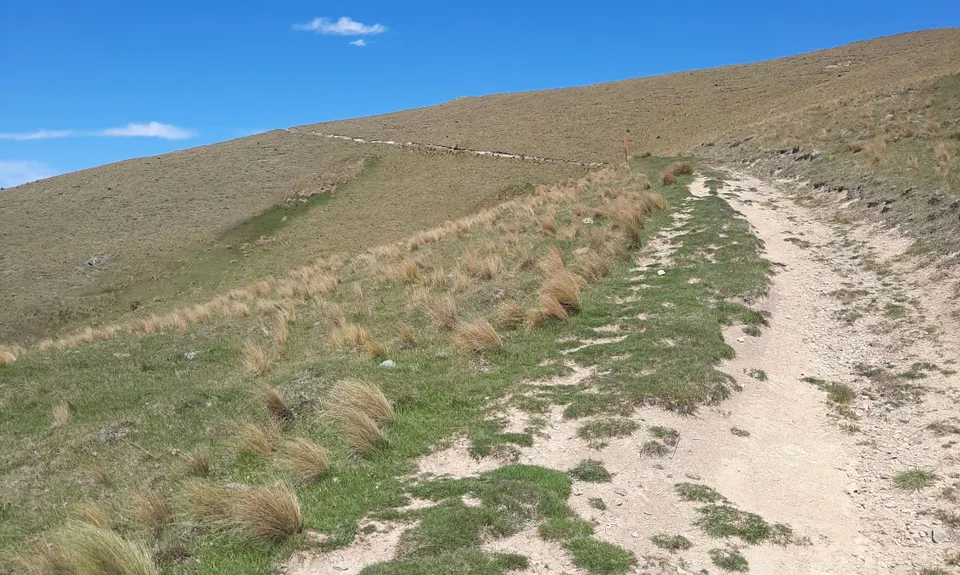 Chetwynd Track, Canterbury