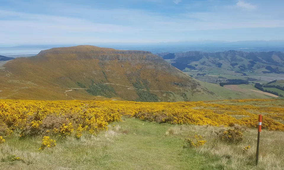 Double Top, Canterbury