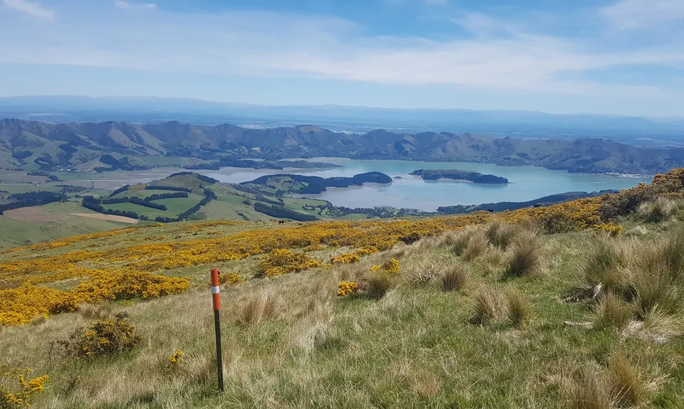 Double Top, Canterbury