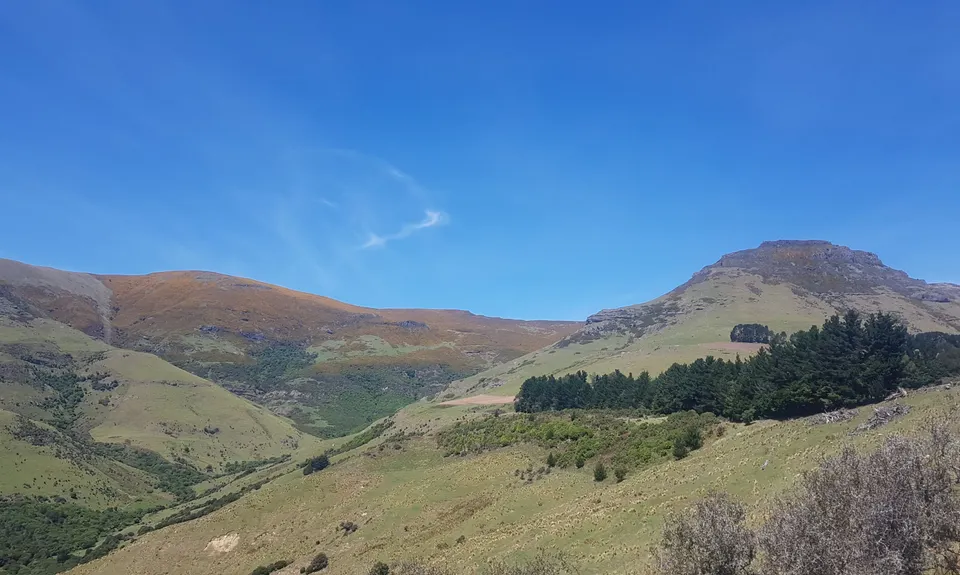 Double Top, Canterbury
