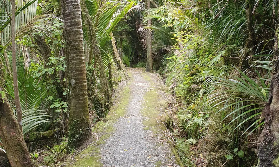 Point Elizabeth Track, West Coast