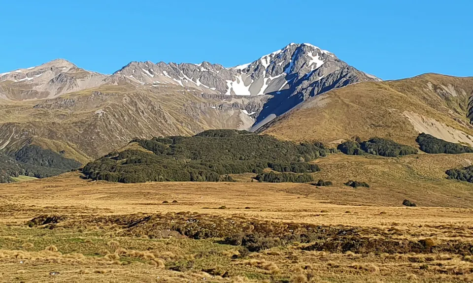 Maling Fowler Pass Loop, Canterbury