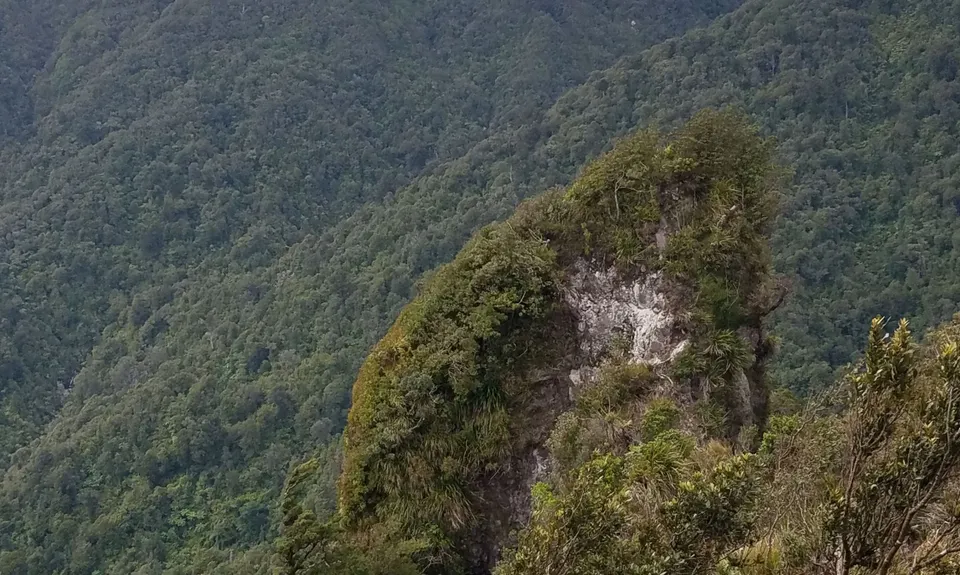 Pukekōhatu Pack Ponies, Waikato