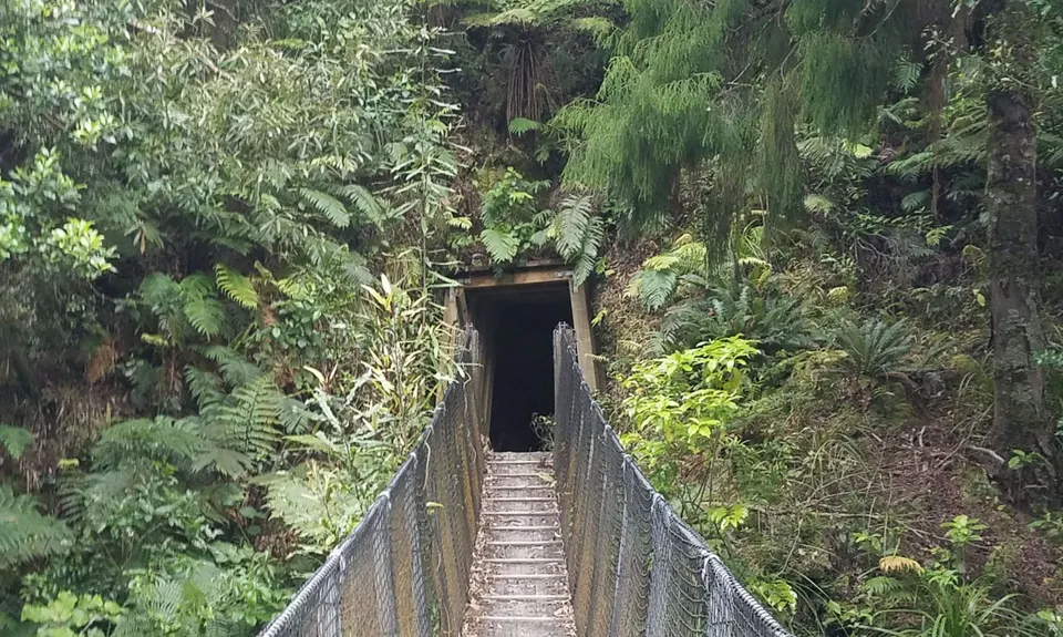 Pukekōhatu Pack Ponies, Waikato