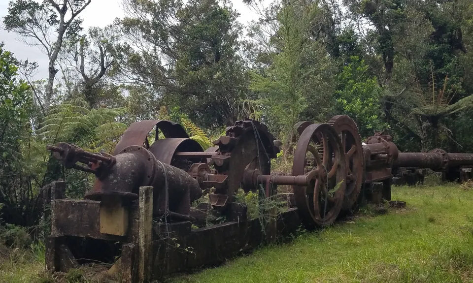 Pukekōhatu Pack Ponies, Waikato