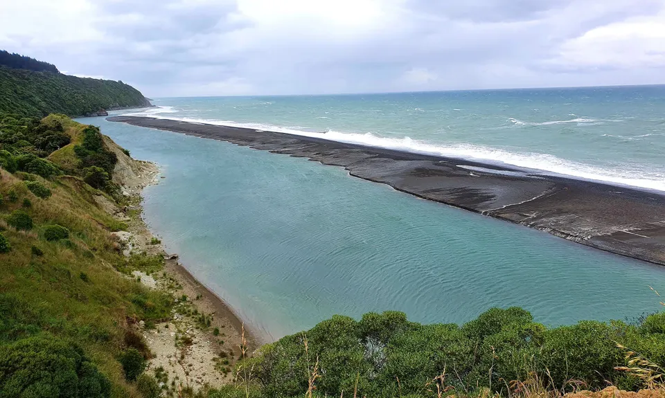 Manuka Bay Track, Canterbury