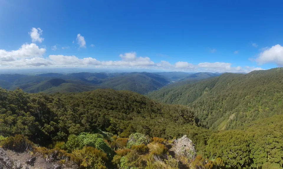 Jumbo - Holdsworth Circuit, Wellington