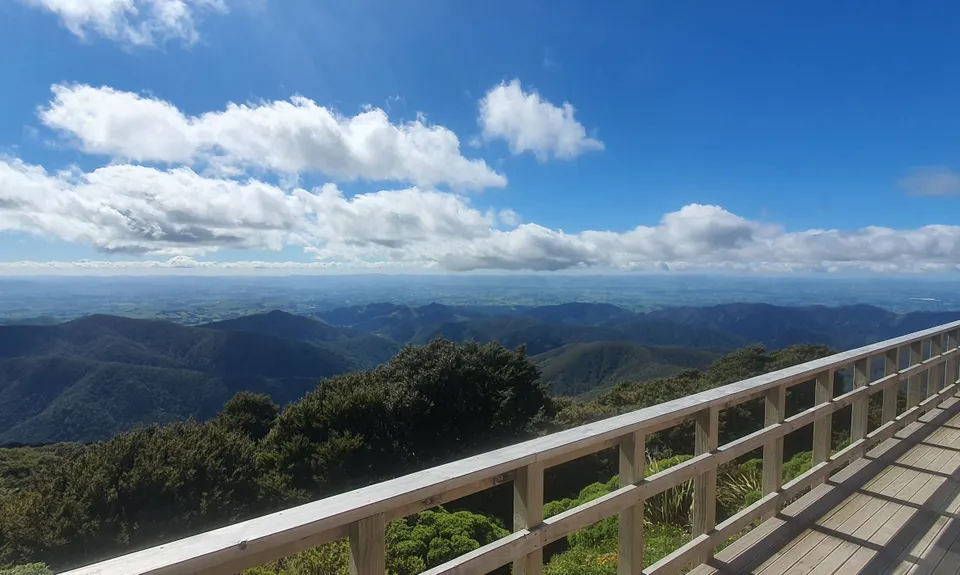 Jumbo - Holdsworth Circuit, Wellington