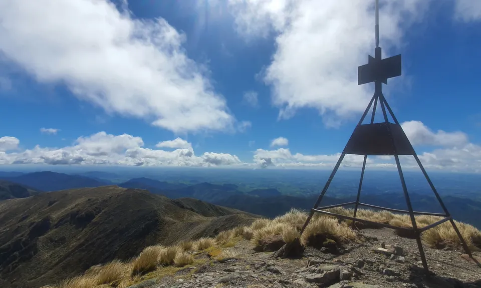 Jumbo - Holdsworth Circuit, Wellington