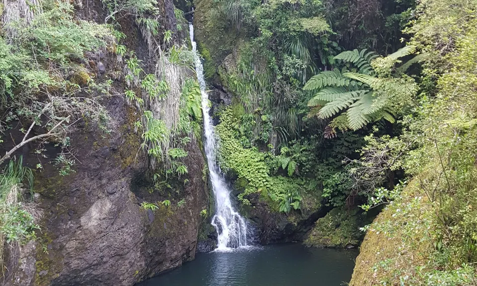 Te Rau-o-te-Huia Summit, Auckland
