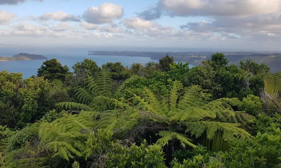 Te Rau-o-te-Huia Summit, Auckland