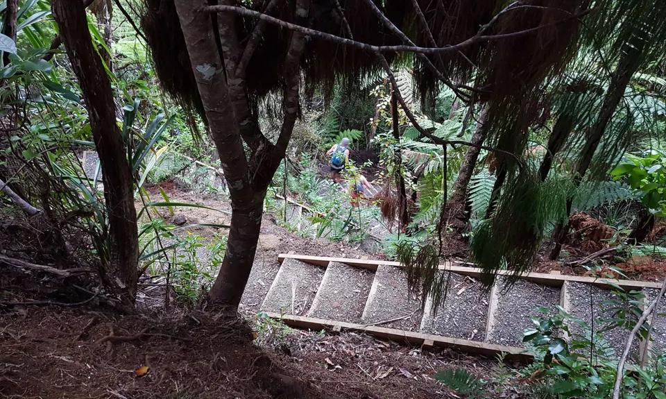 Te Rau-o-te-Huia Summit, Auckland