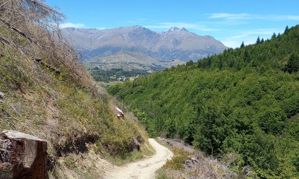Sawpit Gully - German Hill, Otago