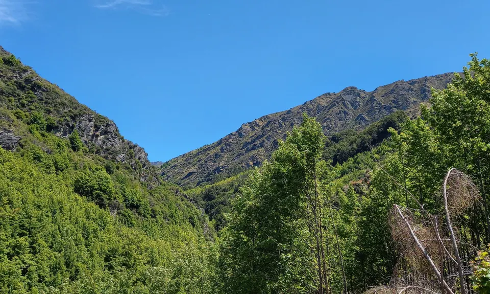 Sawpit Gully - German Hill, Otago