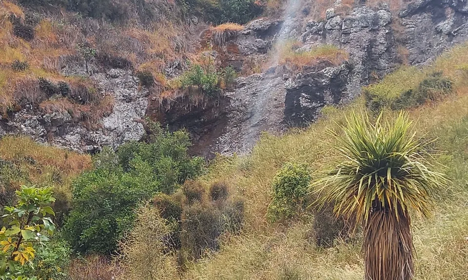Lava Lite, Canterbury