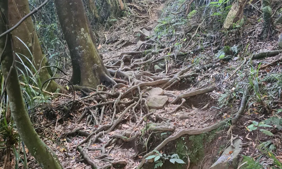 Te Aroha -Waiorongomai Loop, Waikato