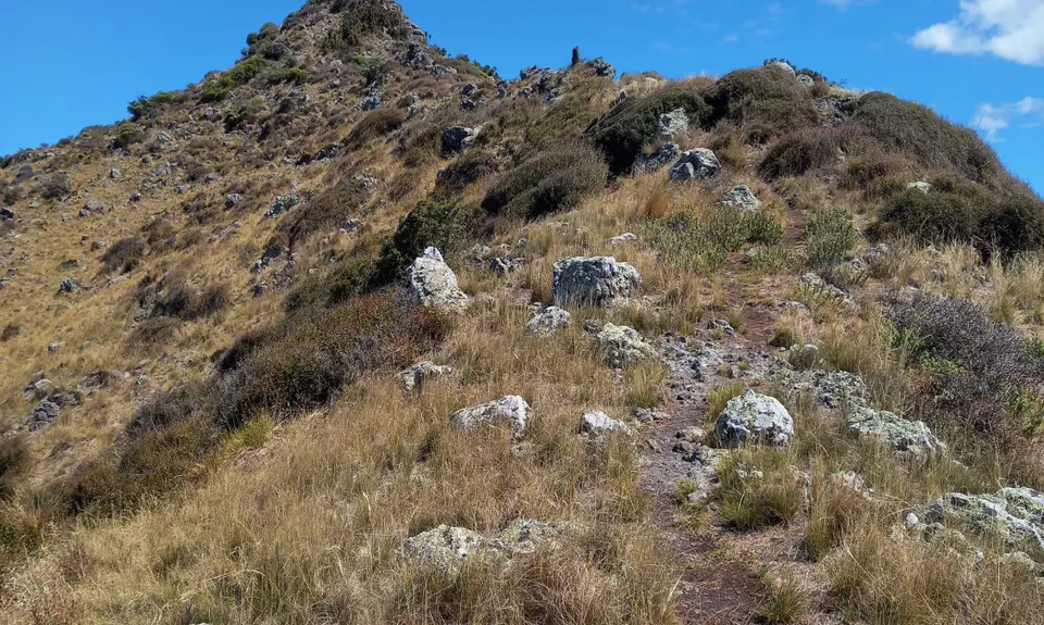 Tussock Hill Ridge, Canterbury