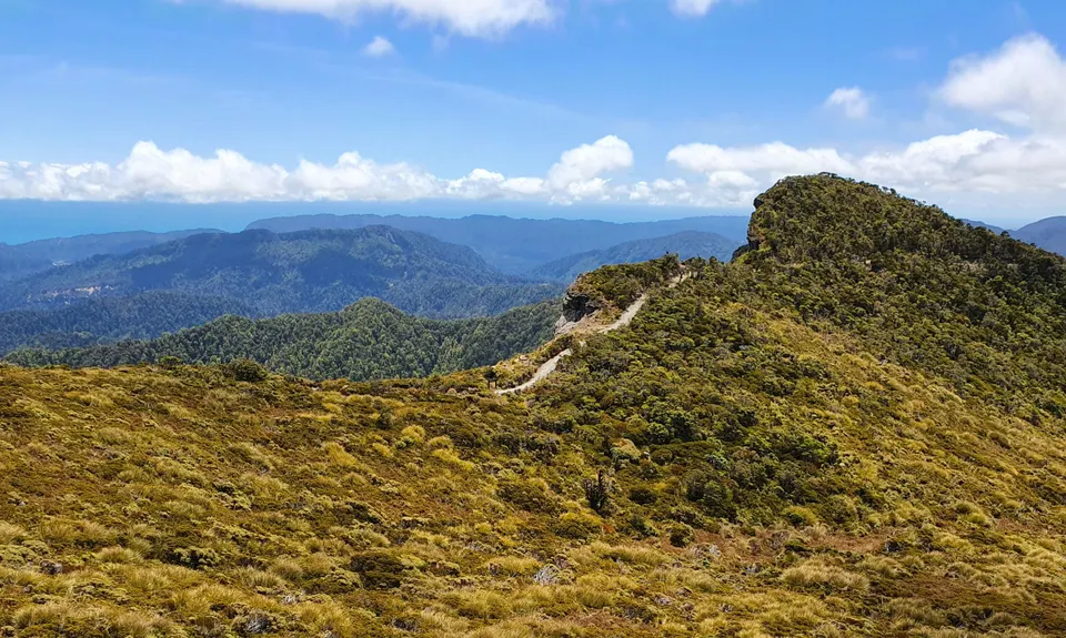 The Paparoa, West Coast