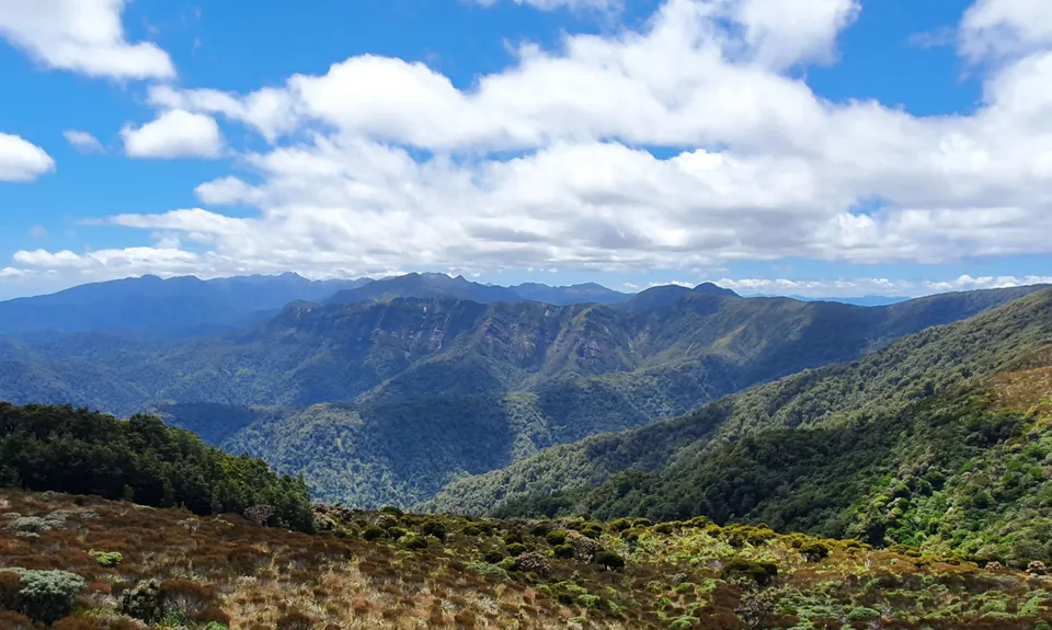 The Paparoa, West Coast