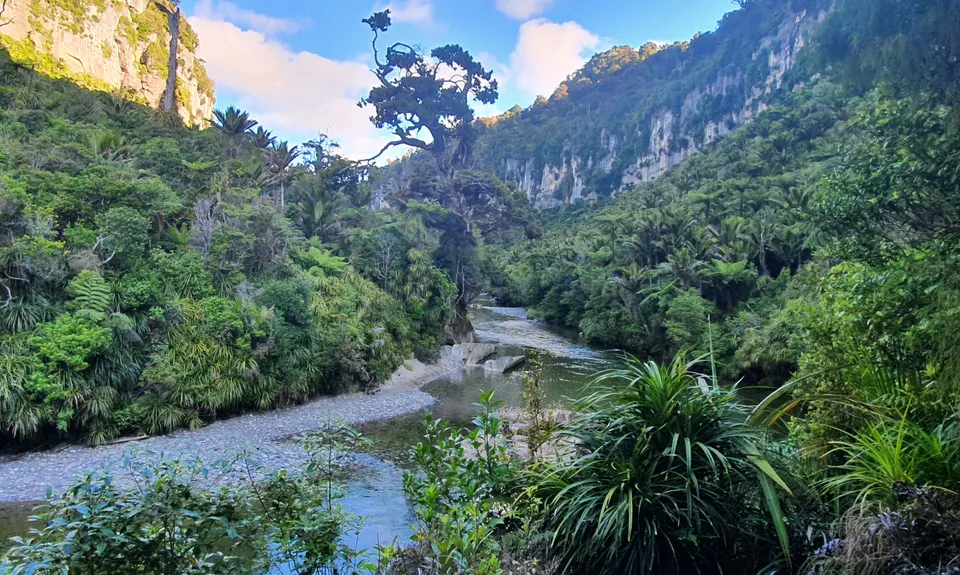 The Paparoa, West Coast