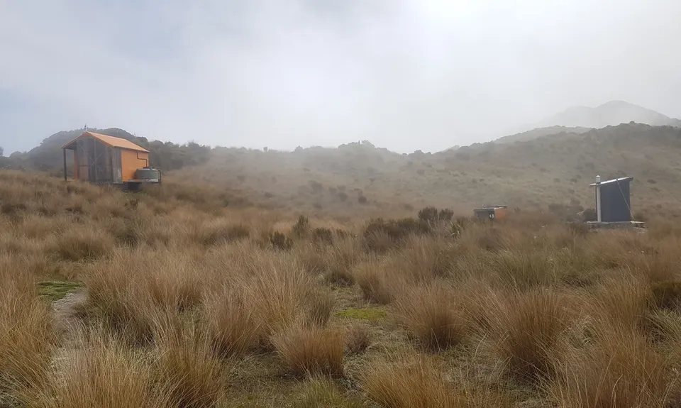 Mt Brown Hut, West Coast