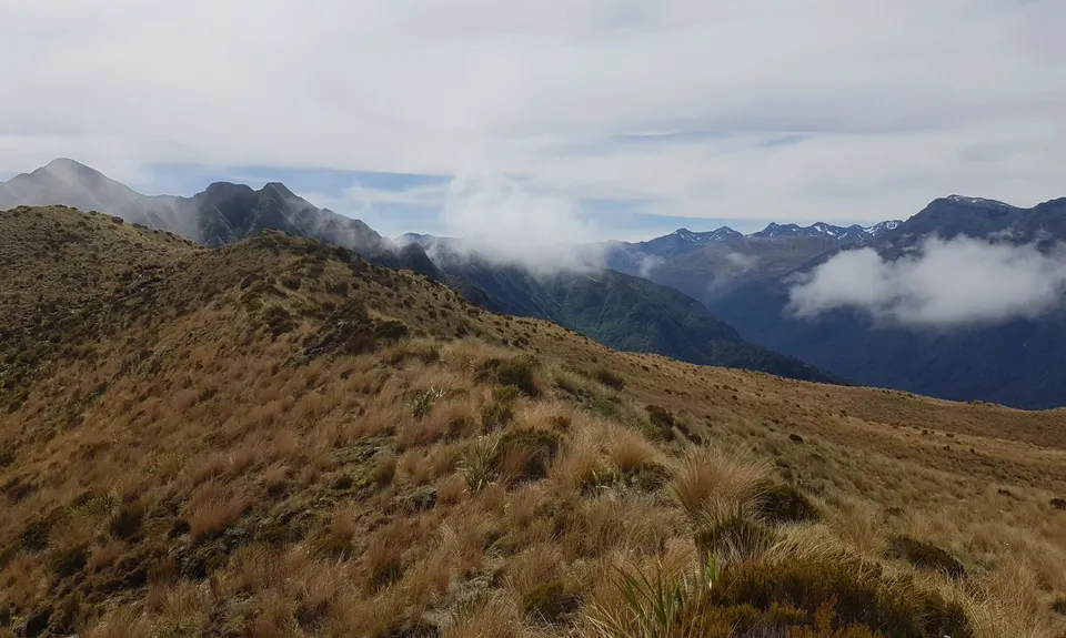 Mt Brown Hut, West Coast
