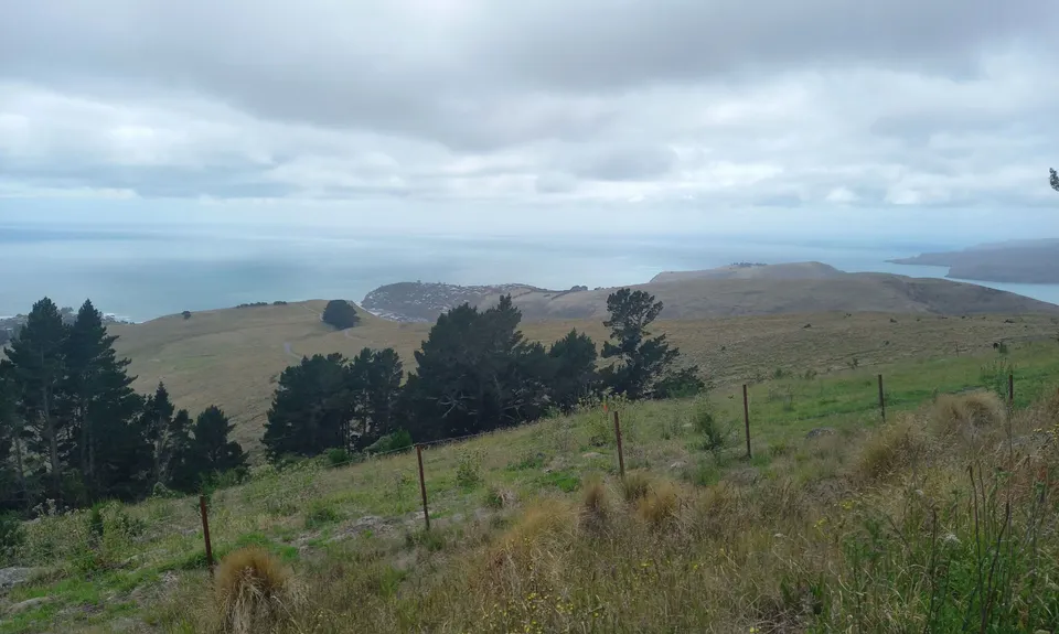 Mt Pleasant Elevator, Canterbury