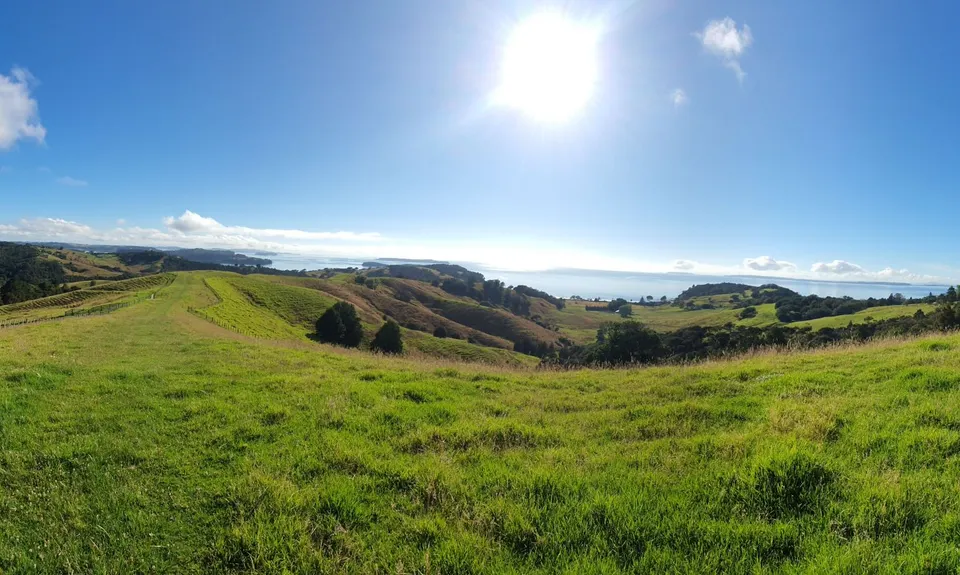 Low Tide at Mahurangi West, Auckland