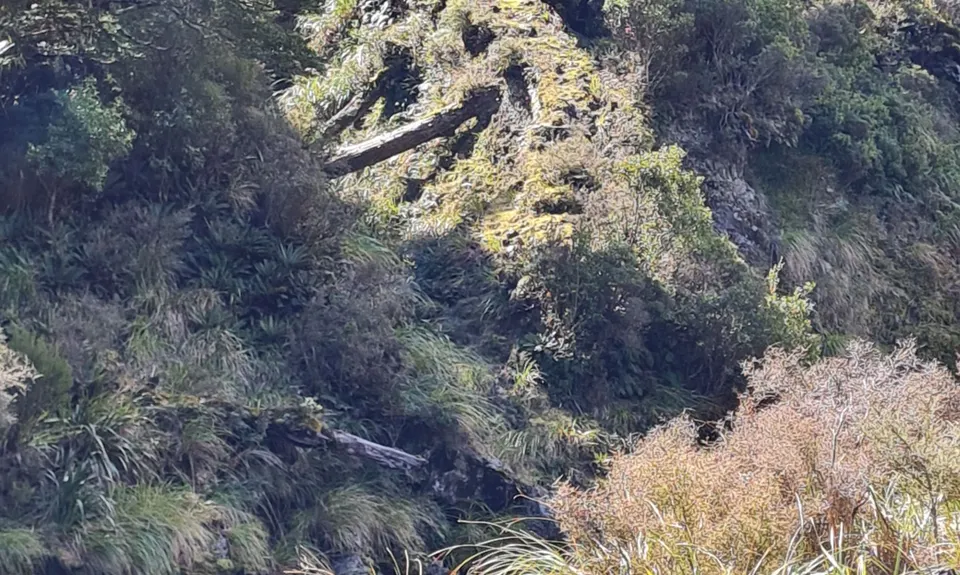 Tunupo, Longview, Toka Loop, Manawatu - Wanganui