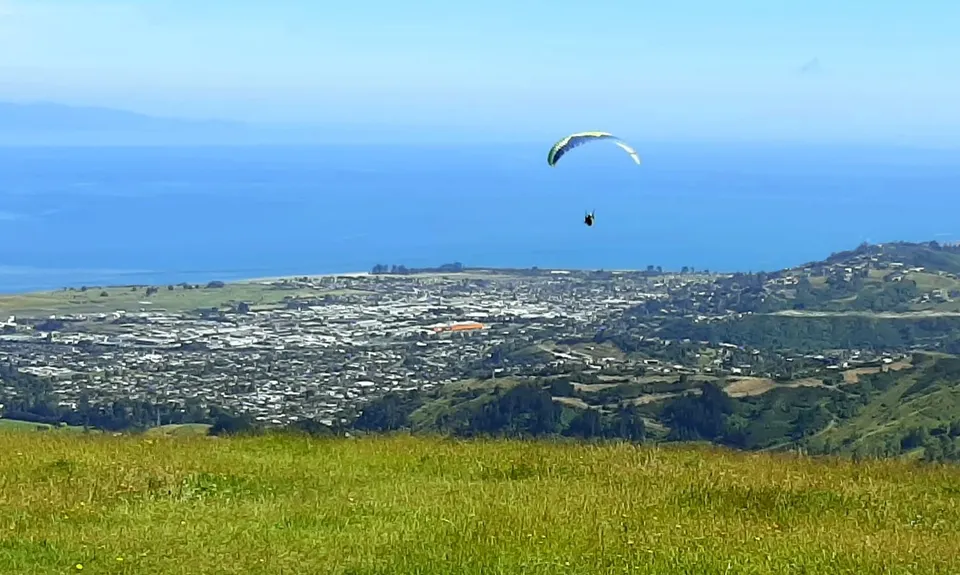 Involution Loop, Nelson